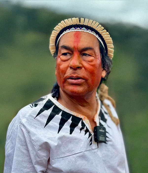 Indigenous_rights poster